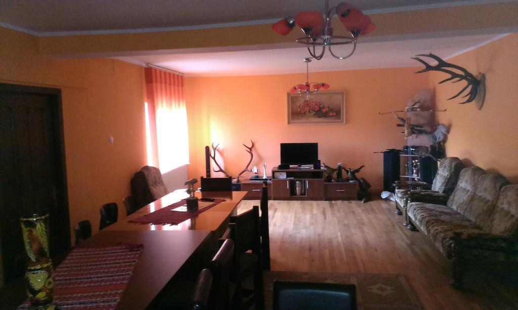 Pensiunea Alex Si Tedi Horezu Exterior foto